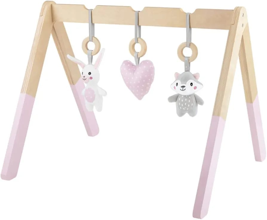 Play Gym