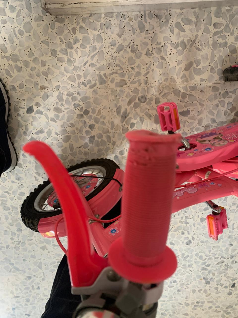 Bicycle - 2 to 5 Years