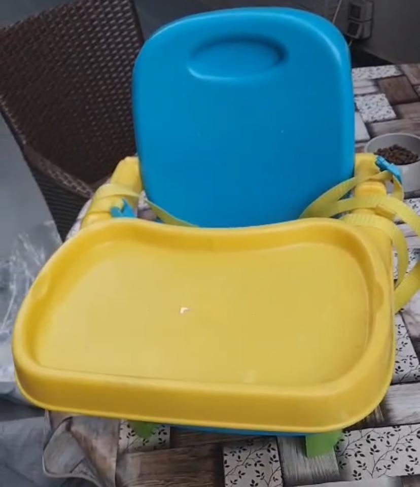Booster Chair