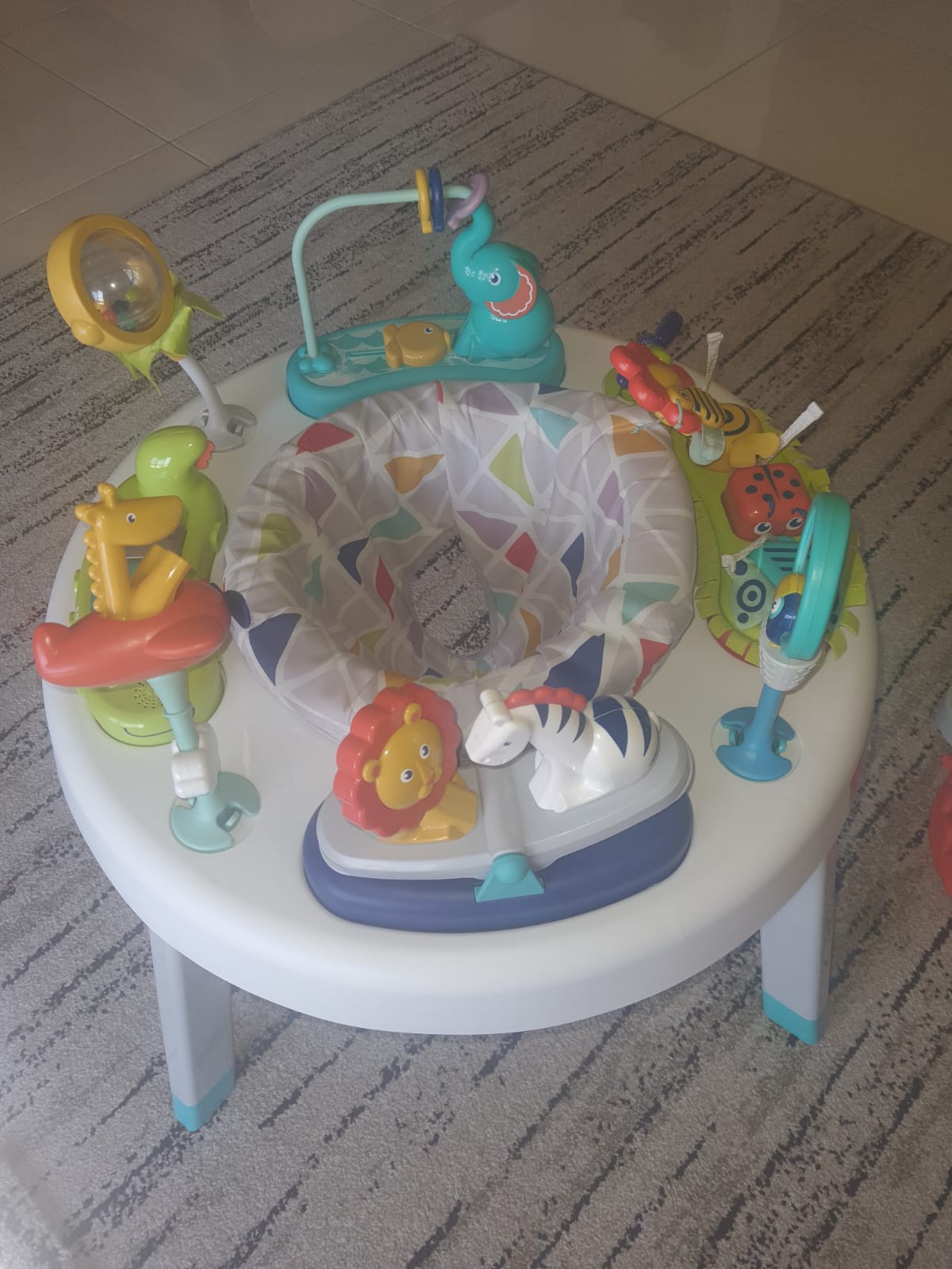 Exercauser and Activity Center