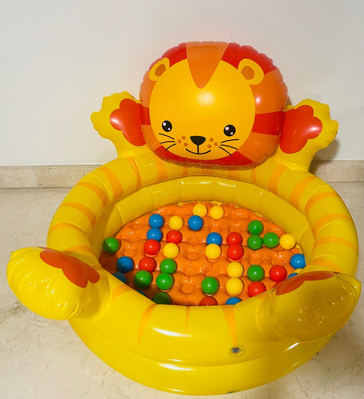 Inflatable Ball Pit