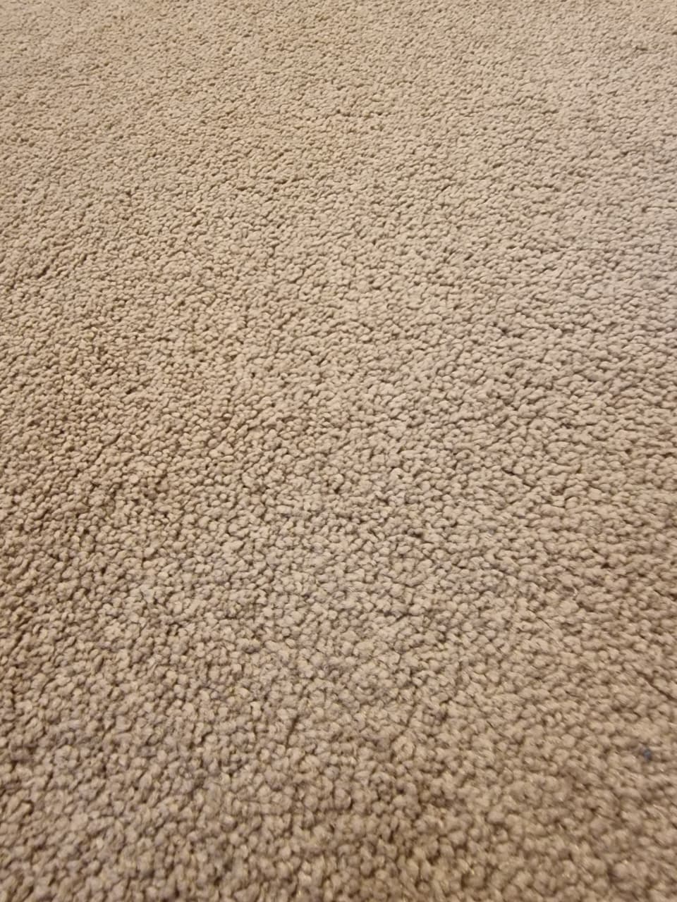 Carpet