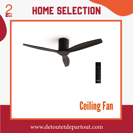 Ceiling Fan - New