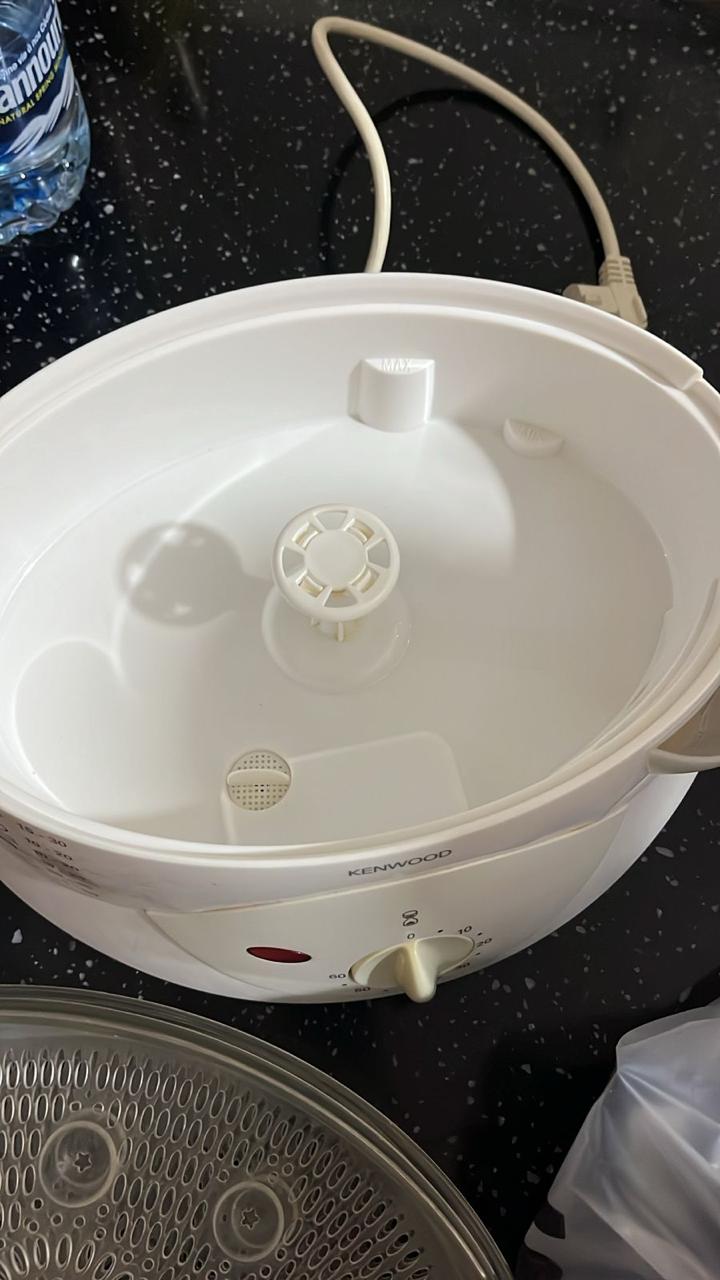 Food Steamer