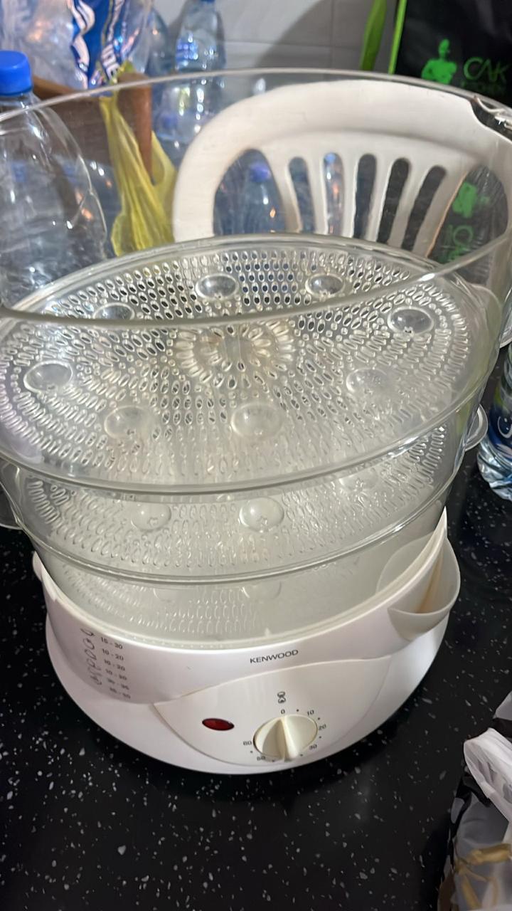 Food Steamer