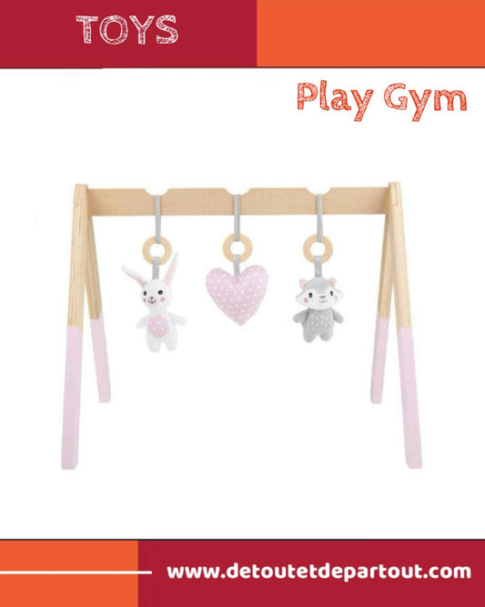 Play Gym