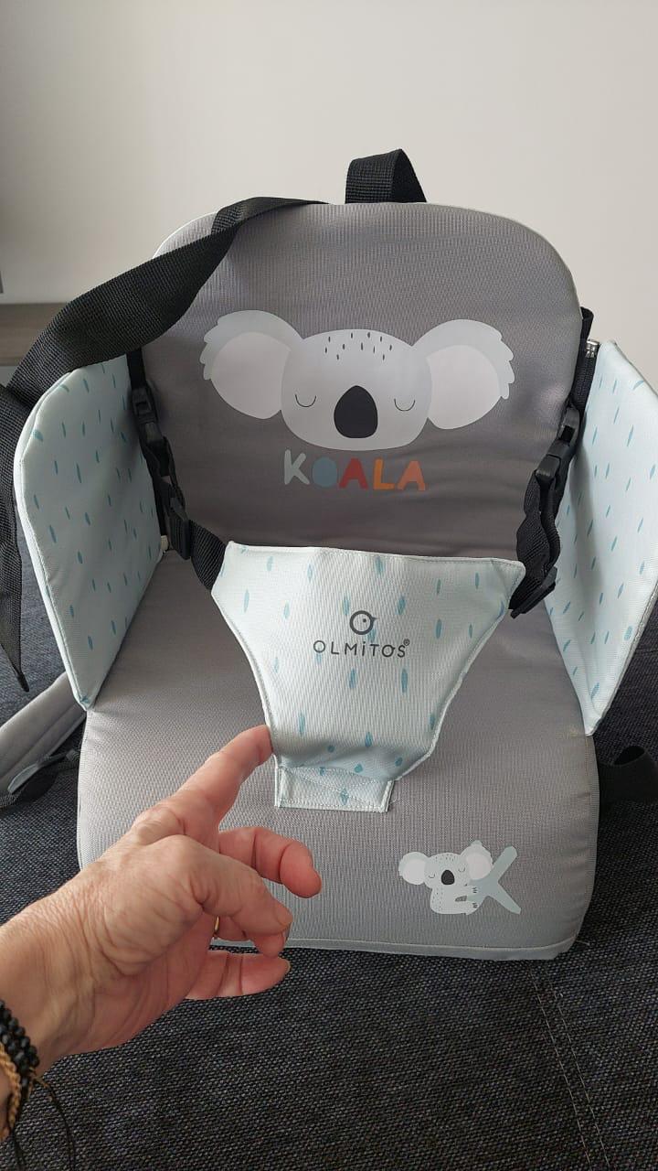 Booster Chair in a Bag