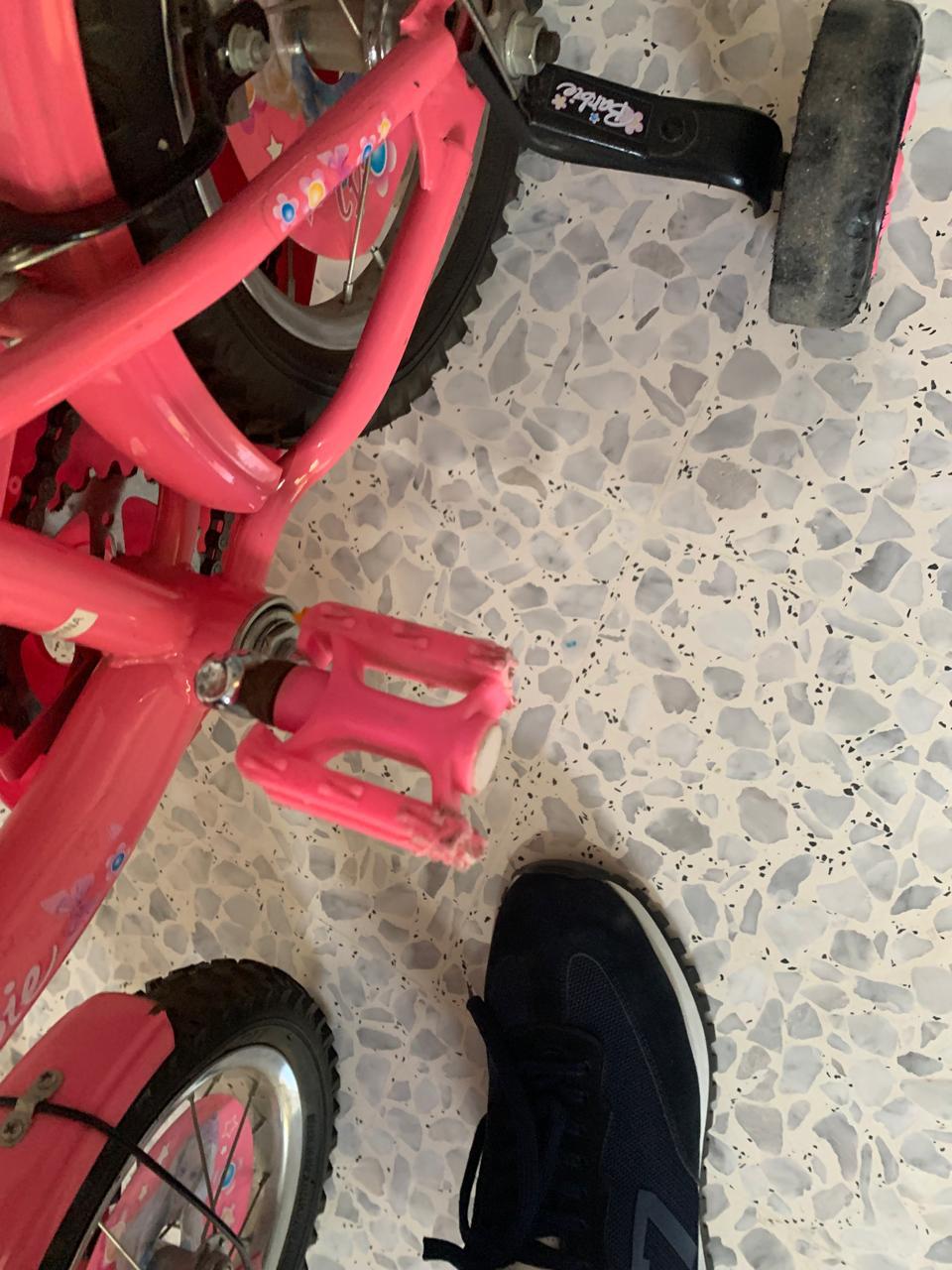 Bicycle - 2 to 5 Years