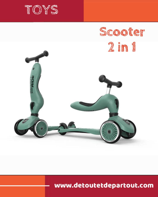 Scooter 2 in 1