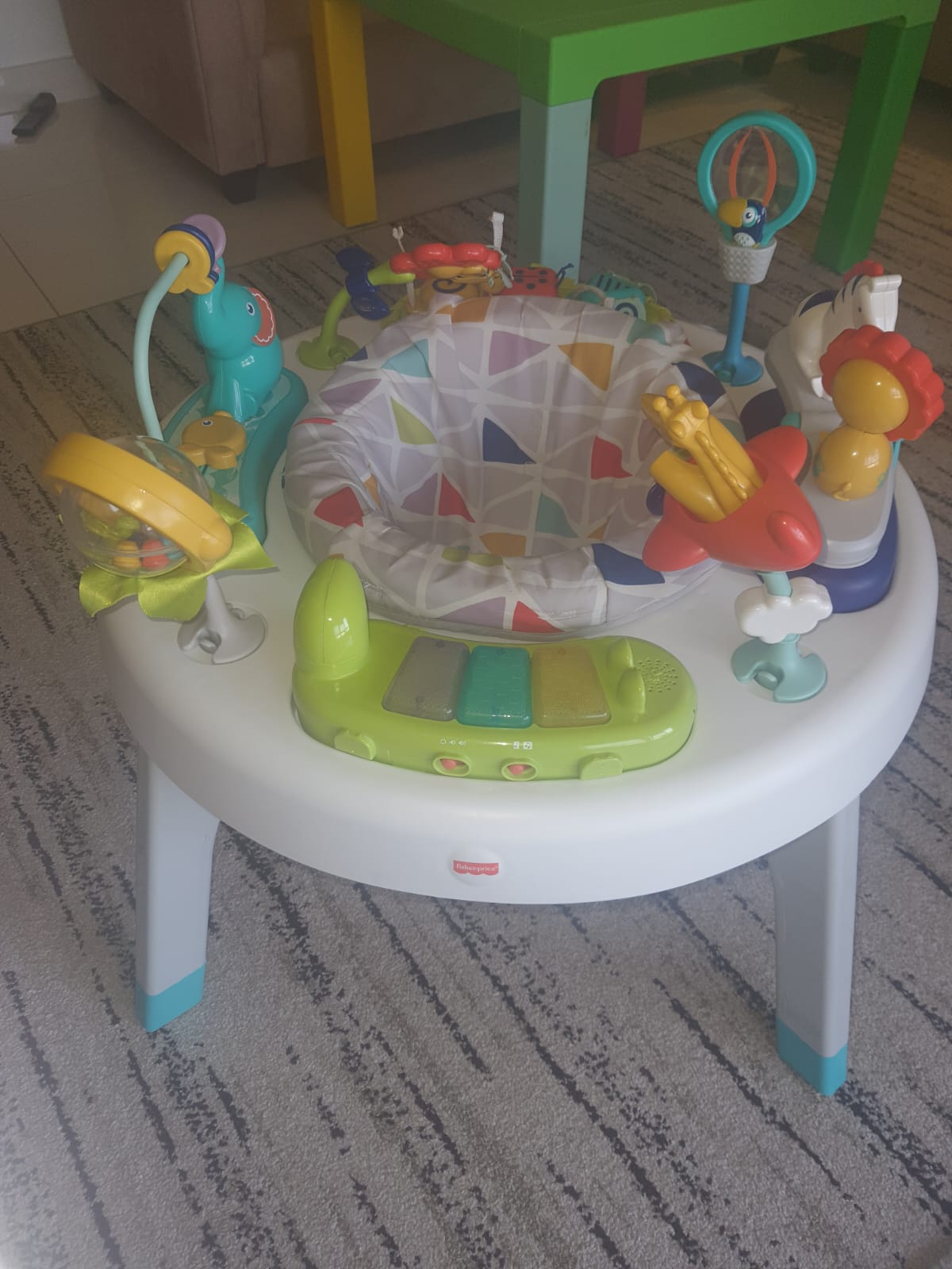 Exercauser and Activity Center