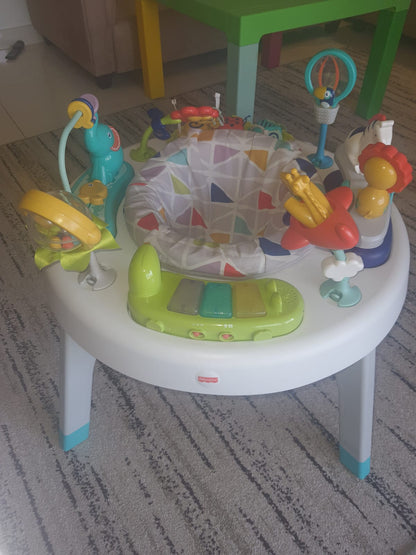 Exercauser and Activity Center