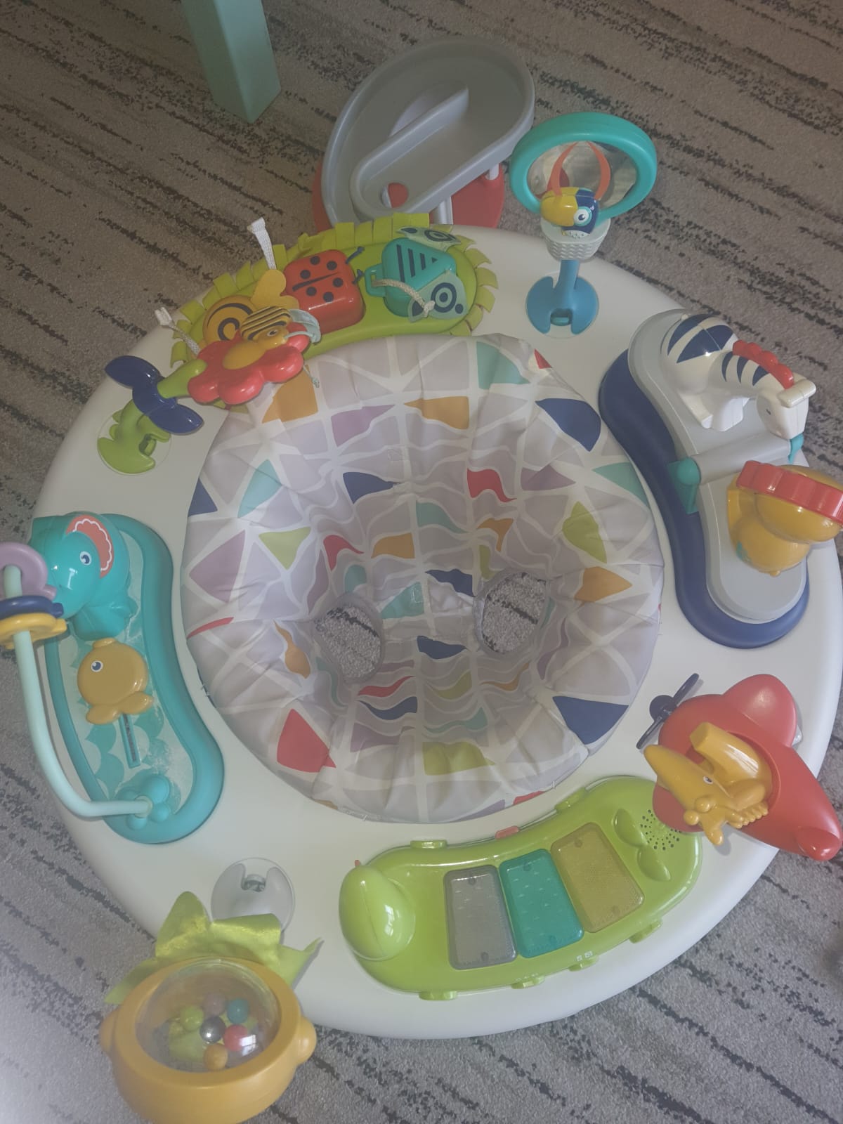Exercauser and Activity Center