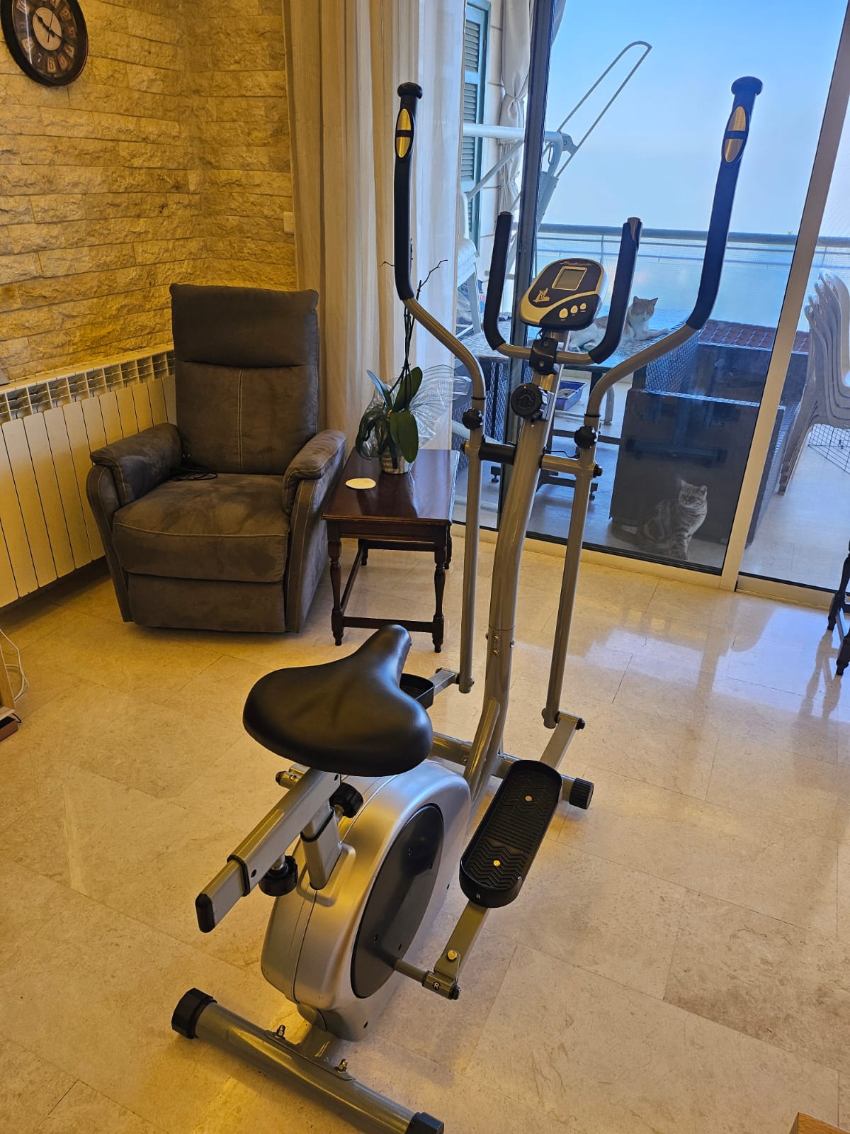 Elliptical and Bike - 2 in 1