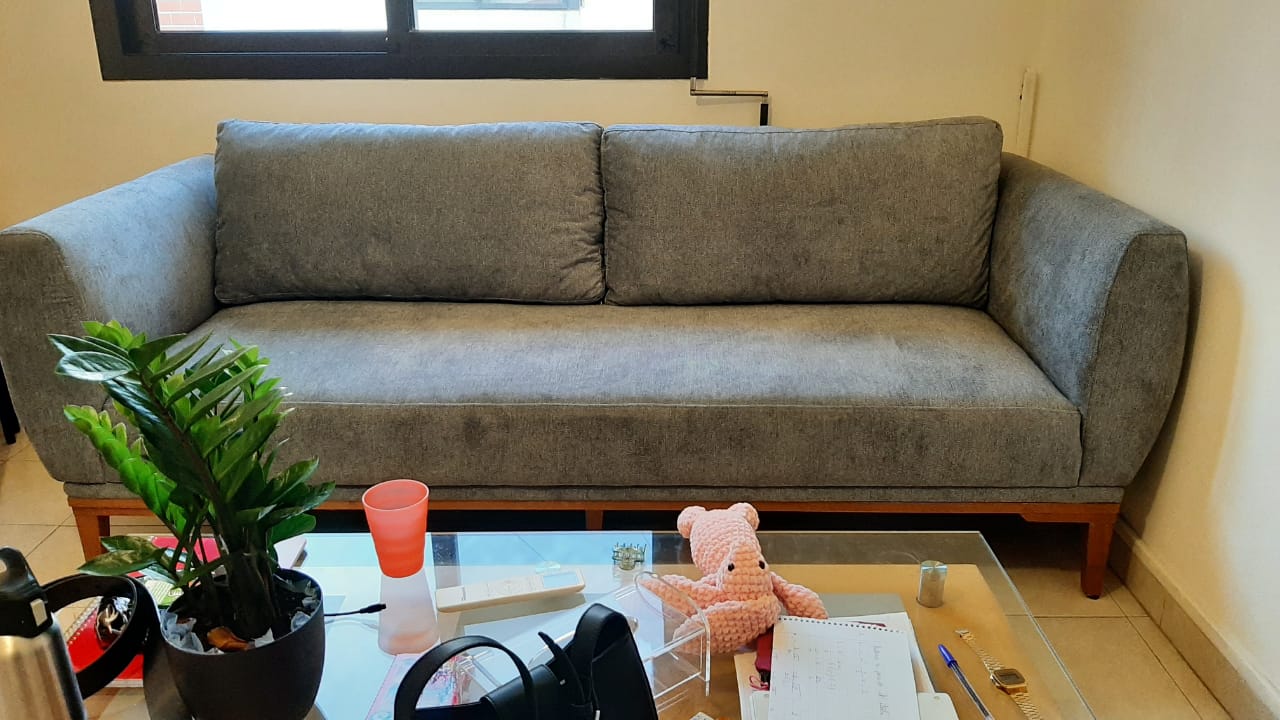 Couches Set