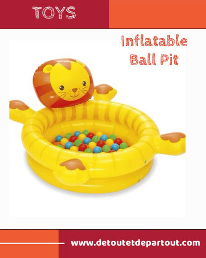 Inflatable Ball Pit