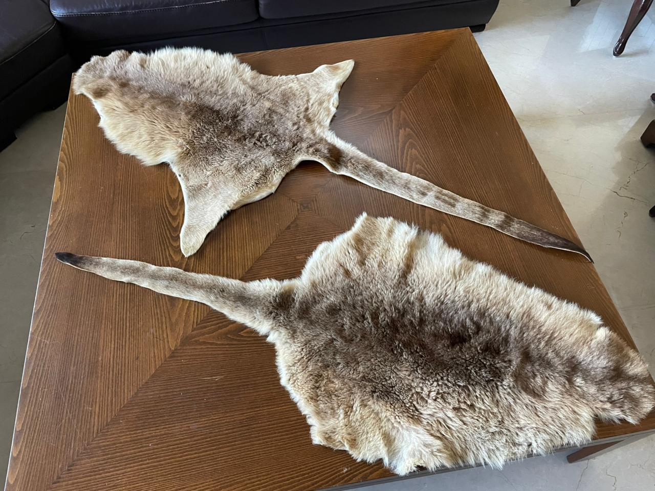 Decorative Carpet - Kangaroo Skin