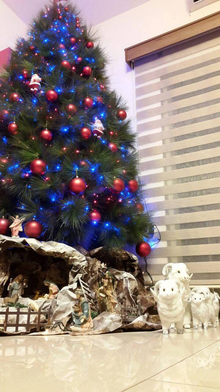 Christmas Tree - 200 and 250cm