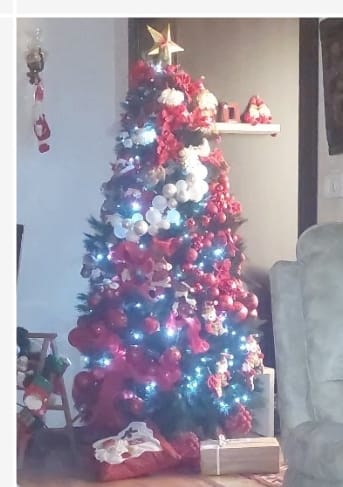 Christmas Tree with Decoration