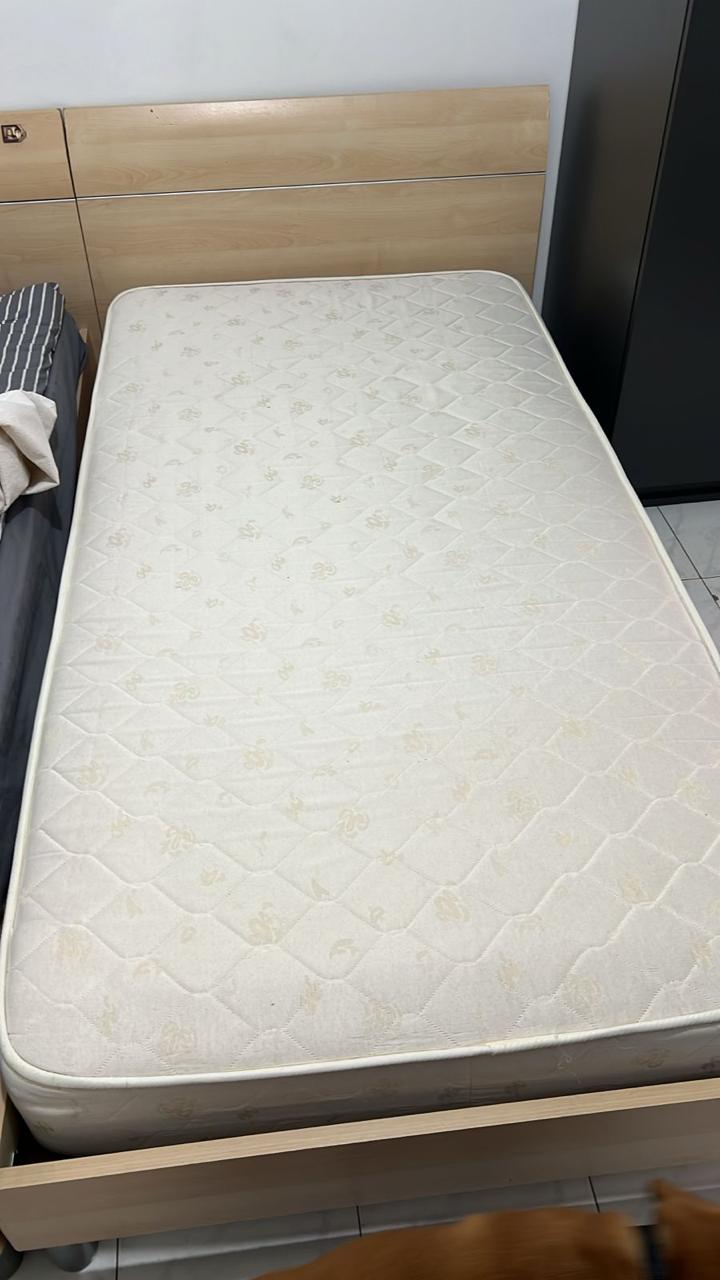 Set of 2 Single Beds