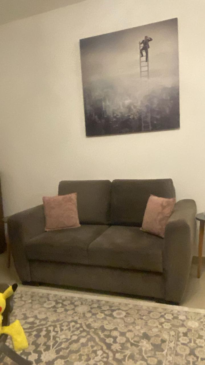 Couches Set - Living Room