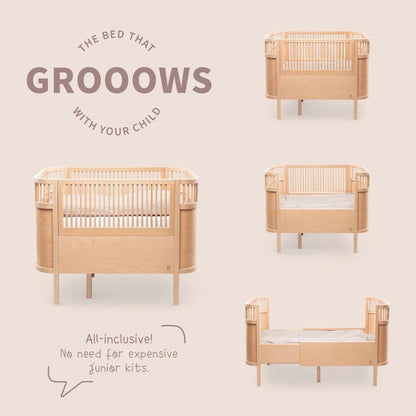Crib - 3 in 1