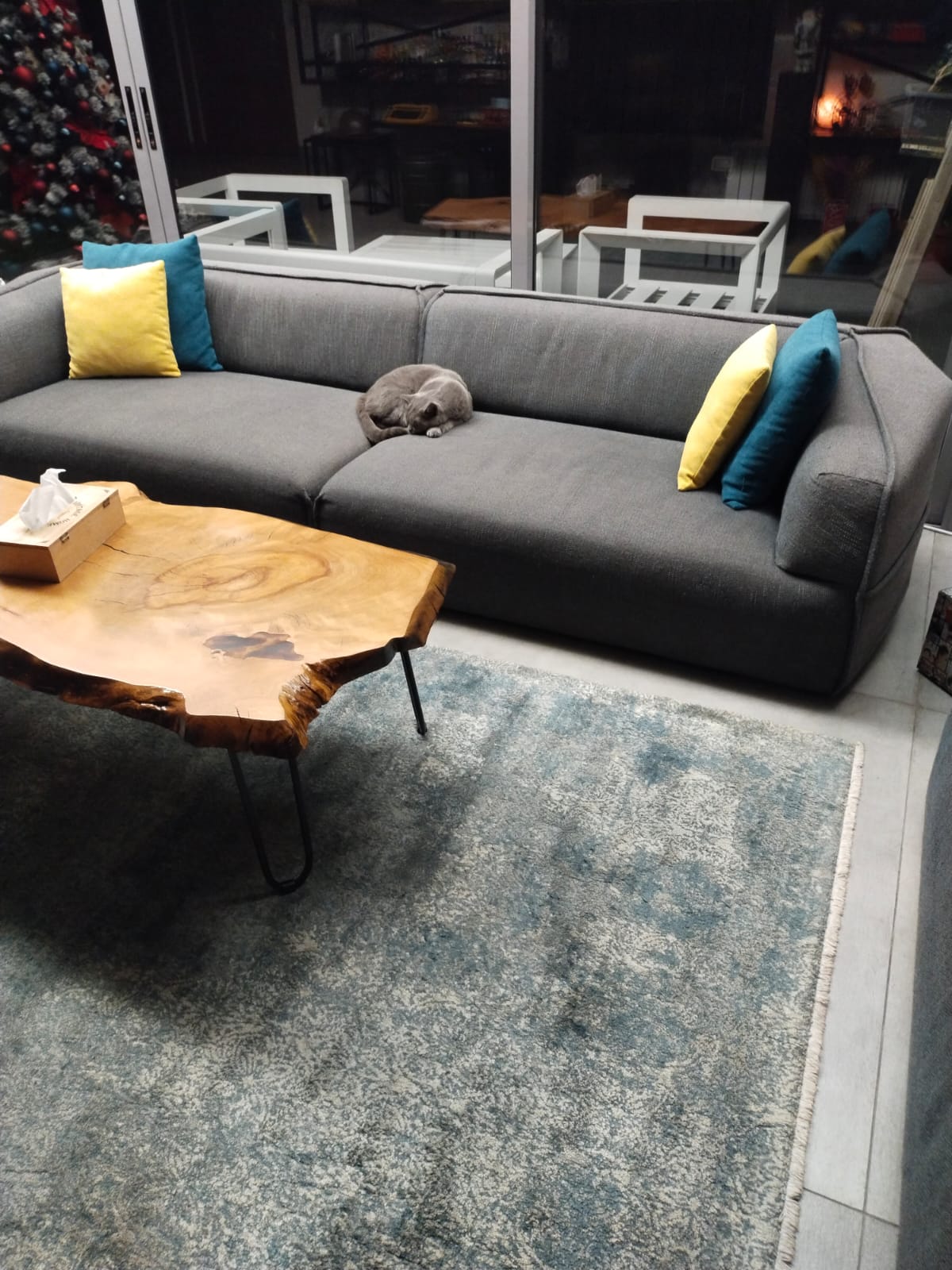 Couches - Living Room