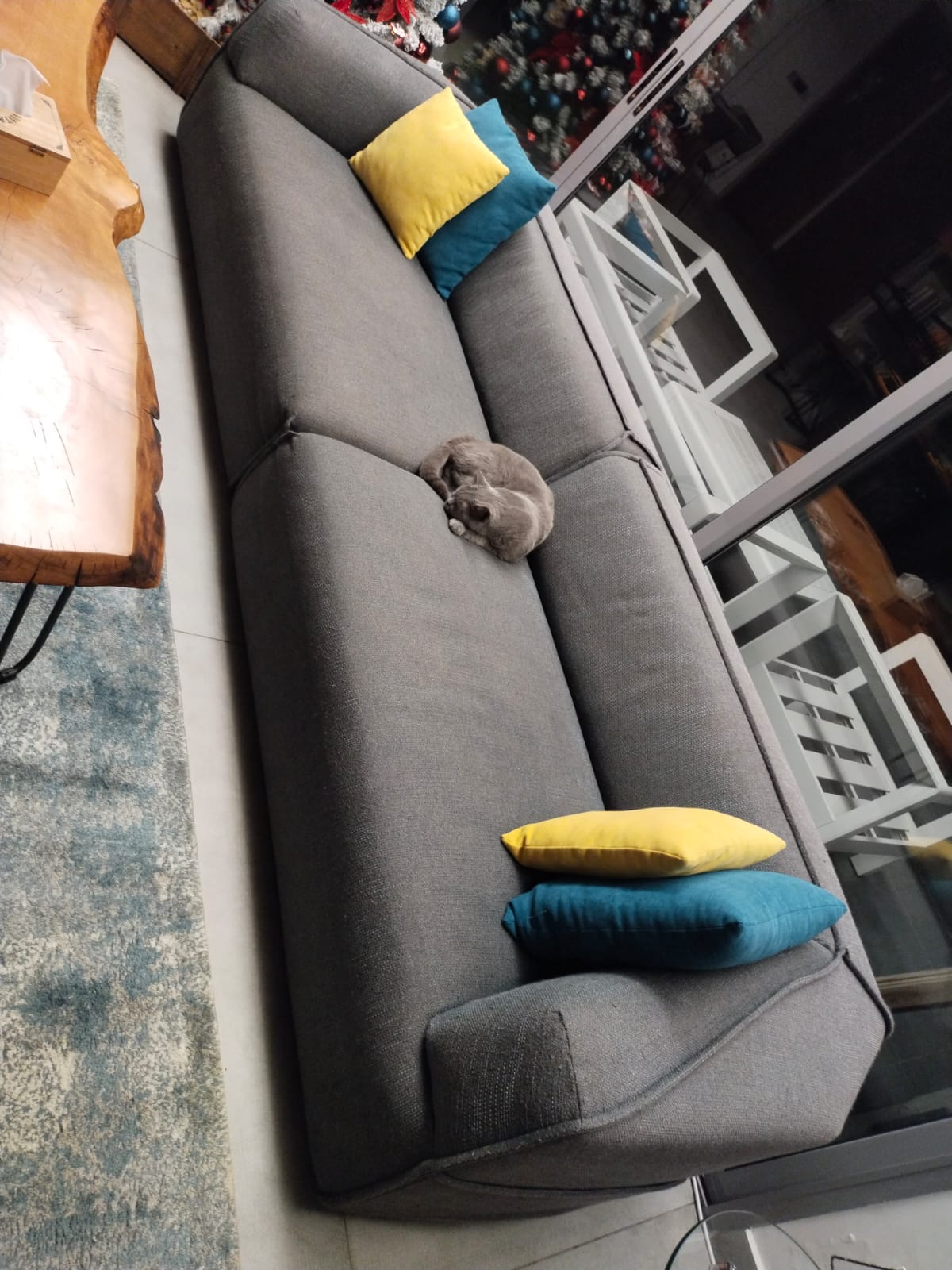 Couches - Living Room