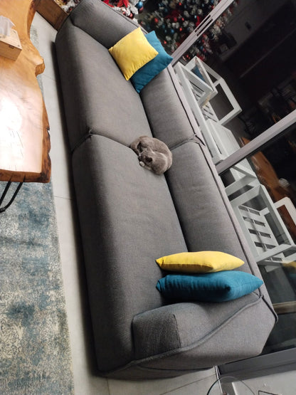 Couches - Living Room