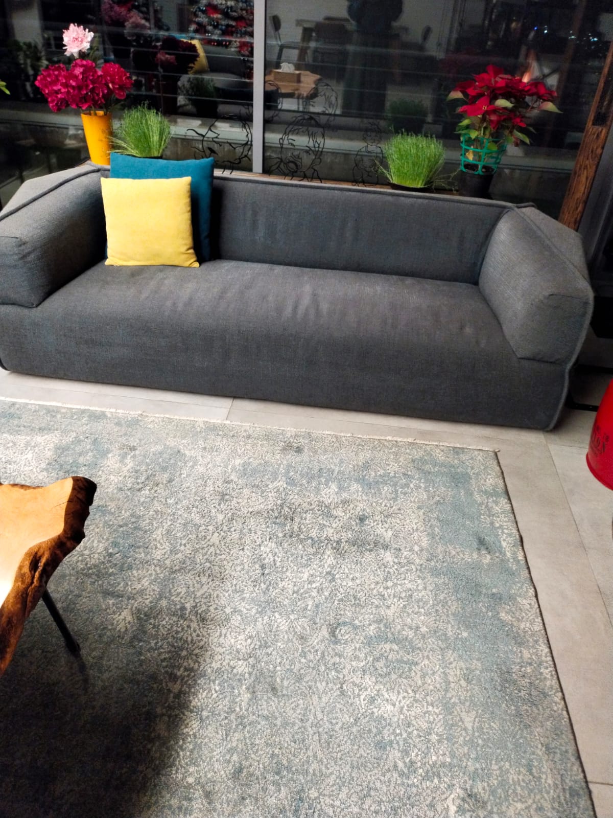 Couches - Living Room