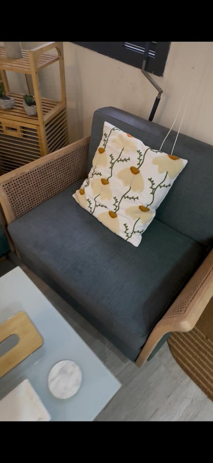 Couches Set
