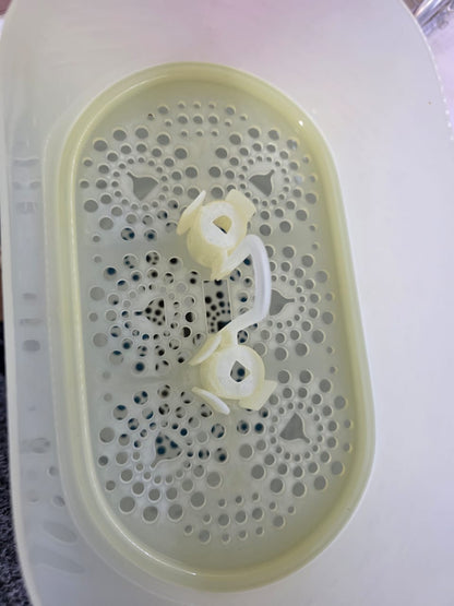 Sterilizer