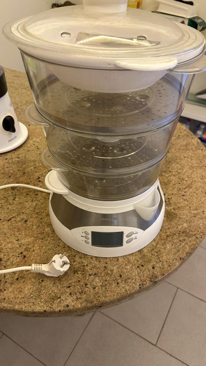 Food Steamer