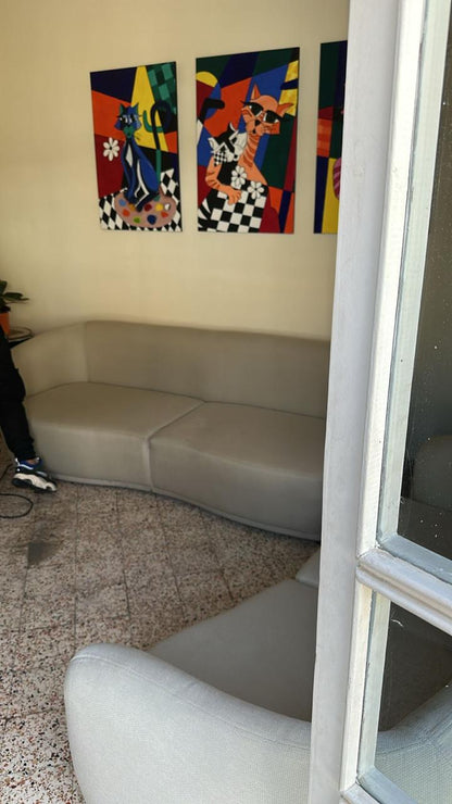 Couches Set