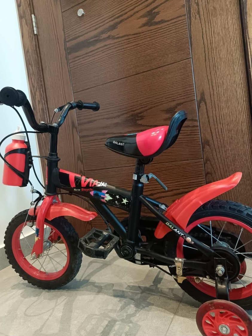Bicycle 12 Inches