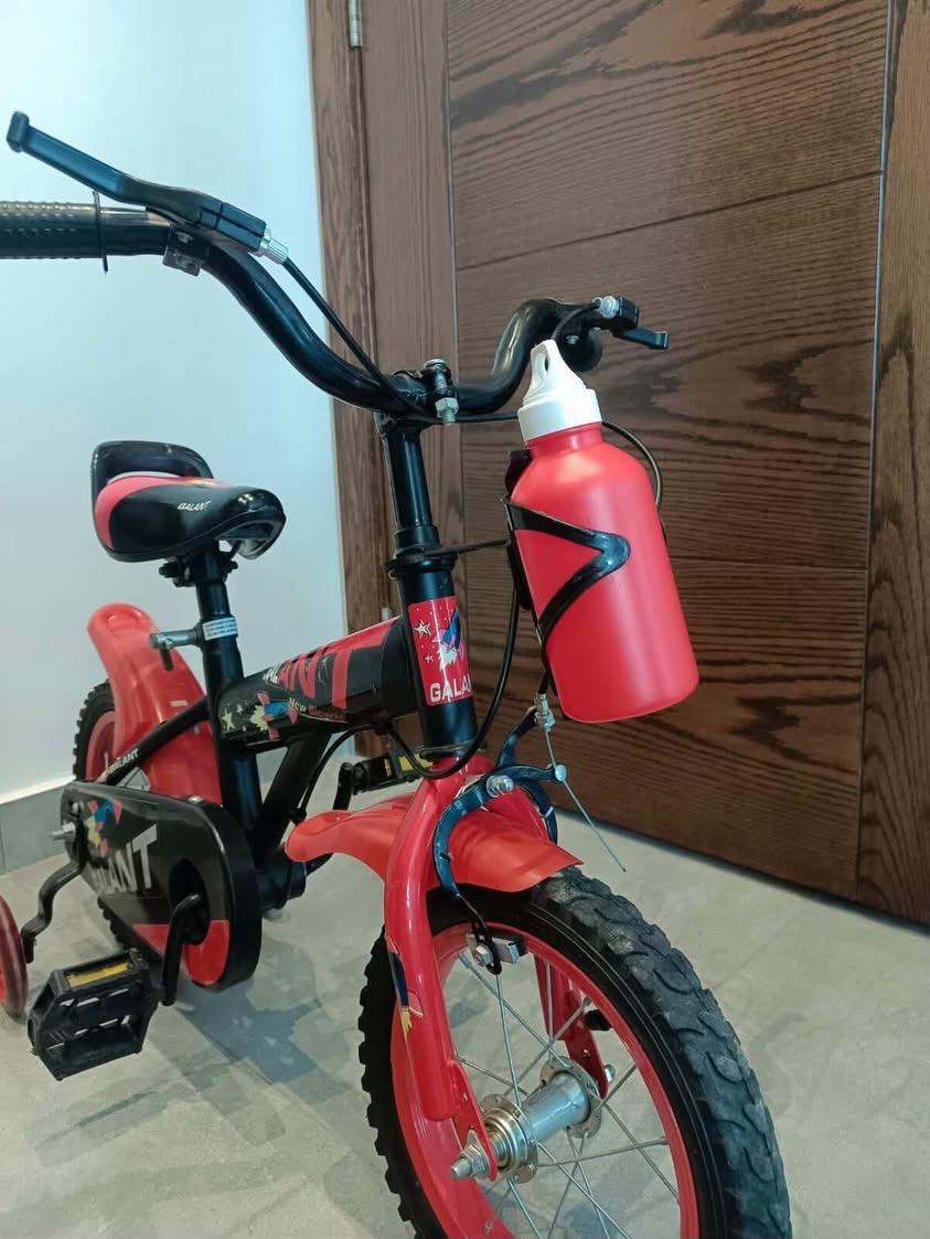 Bicycle 12 Inches