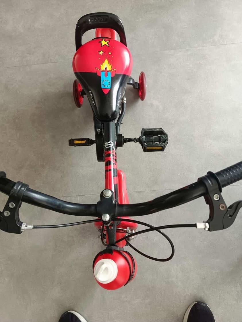 Bicycle 12 Inches