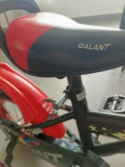 Bicycle 12 Inches