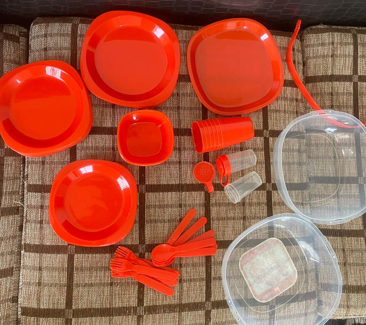 Picnic Set  - New