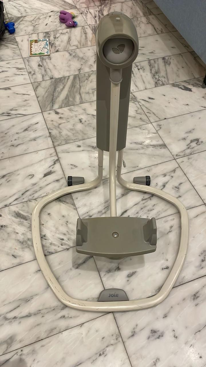 Electric Swing and Bouncer