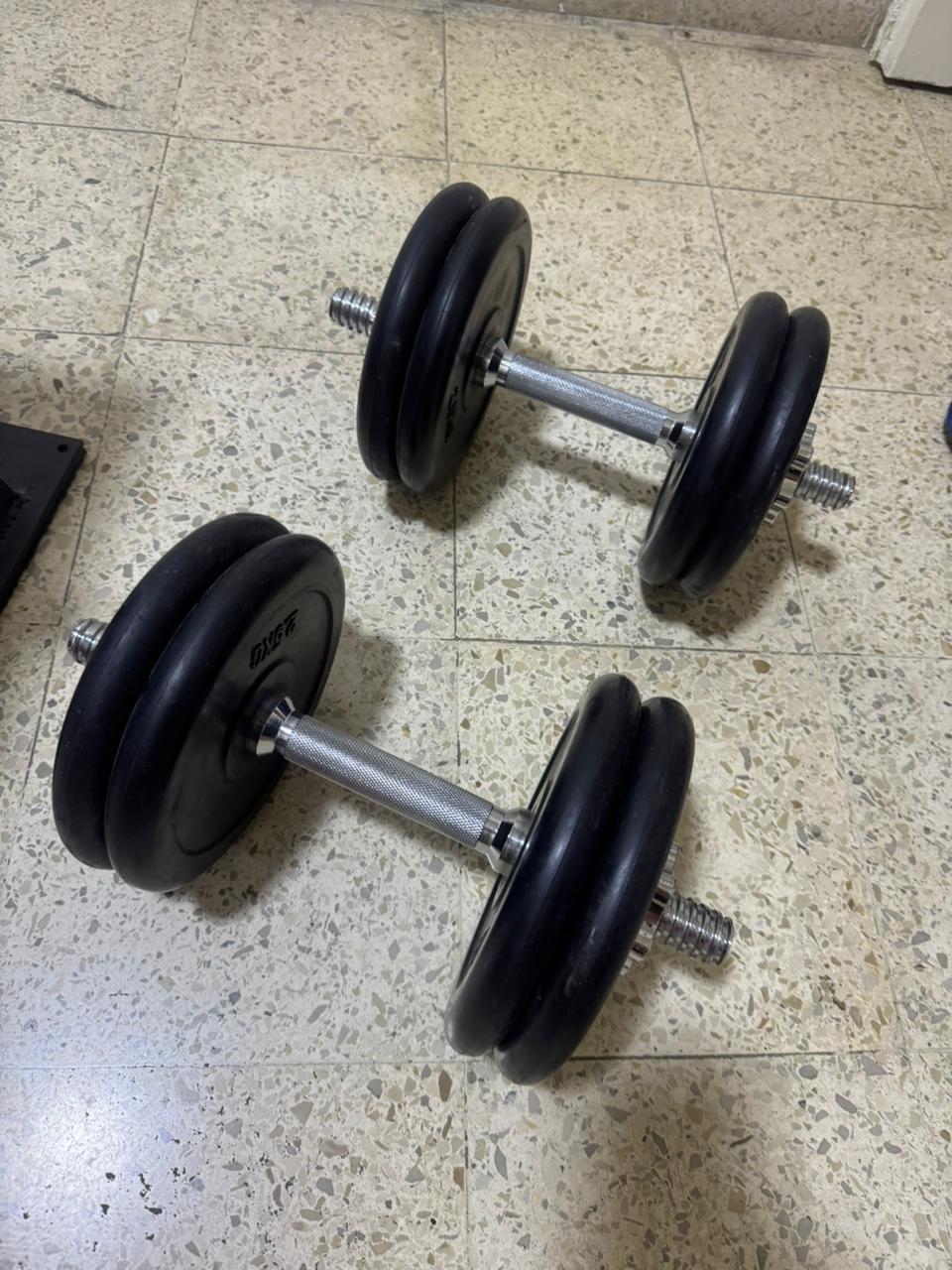 Bench & Training Weights