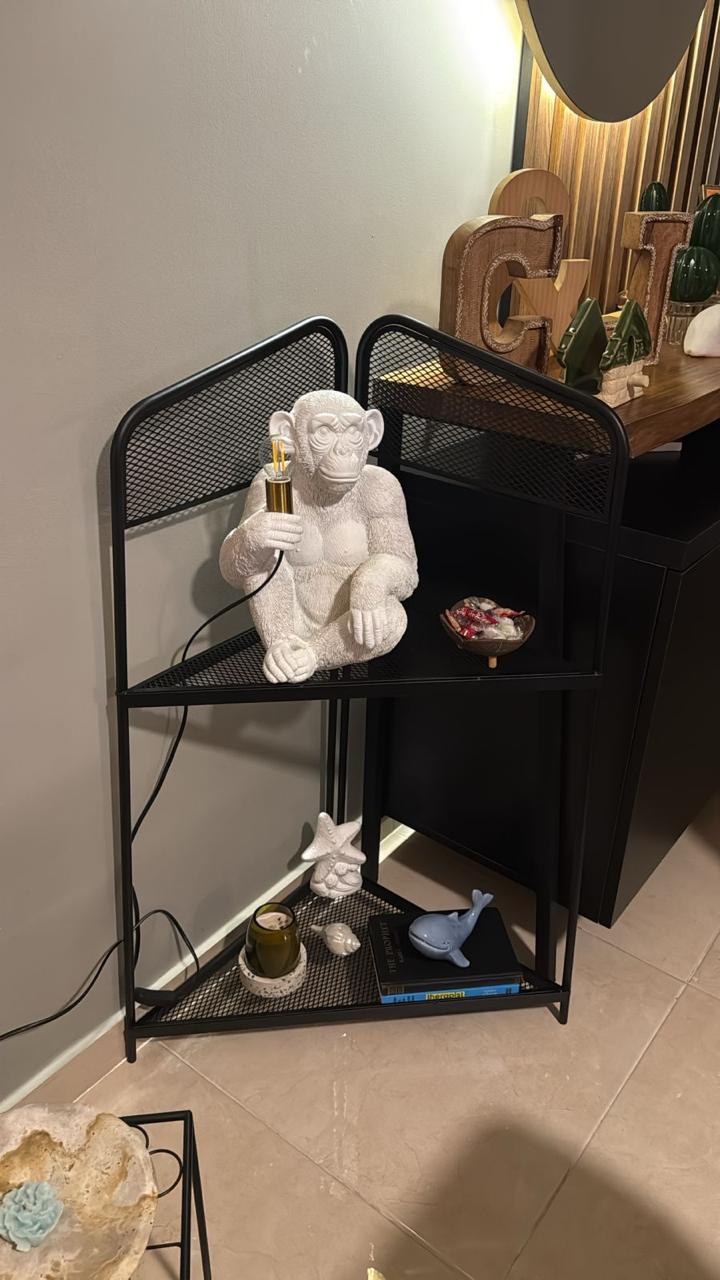 Decorative Shelves - New