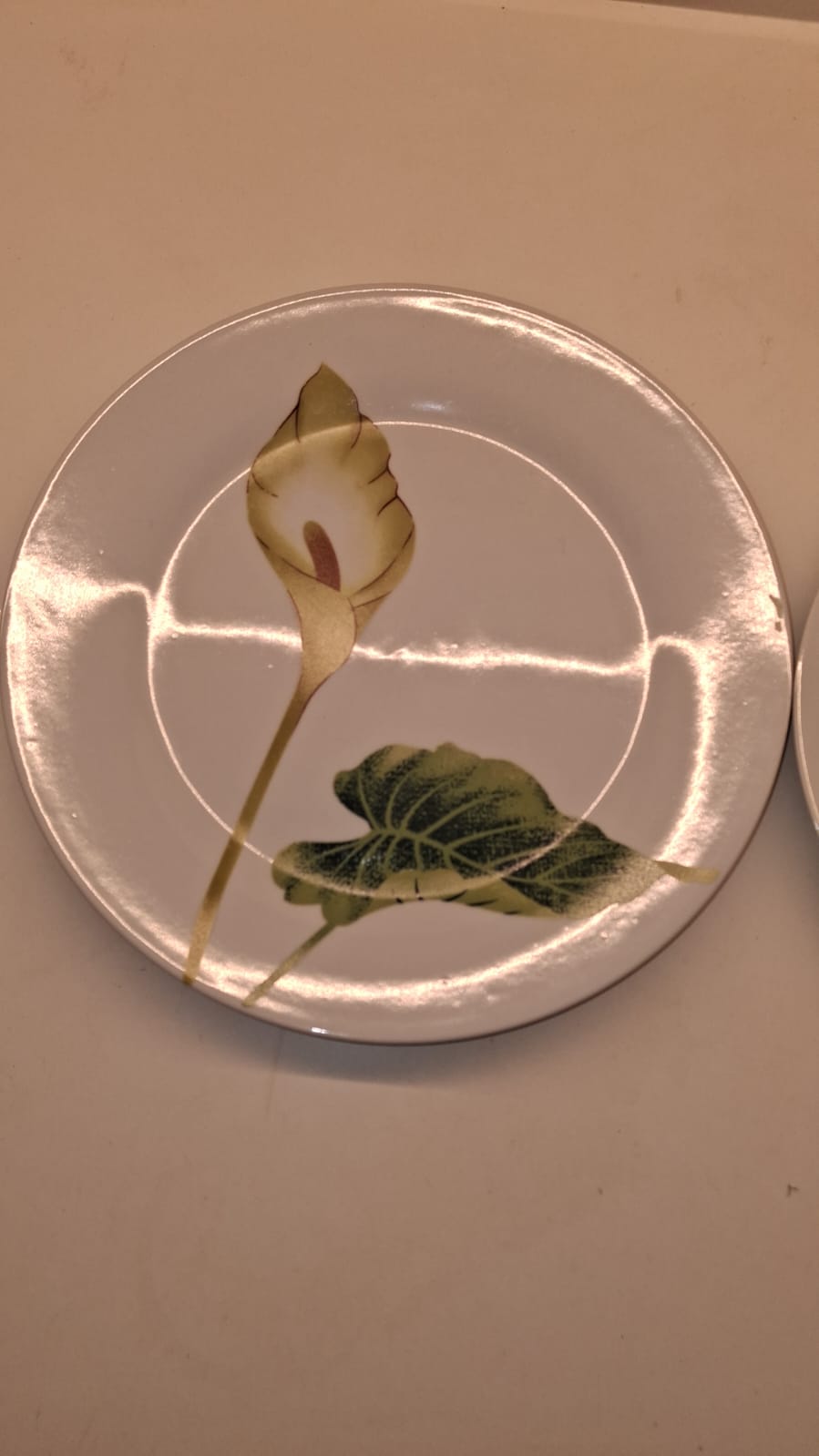 Plates Set