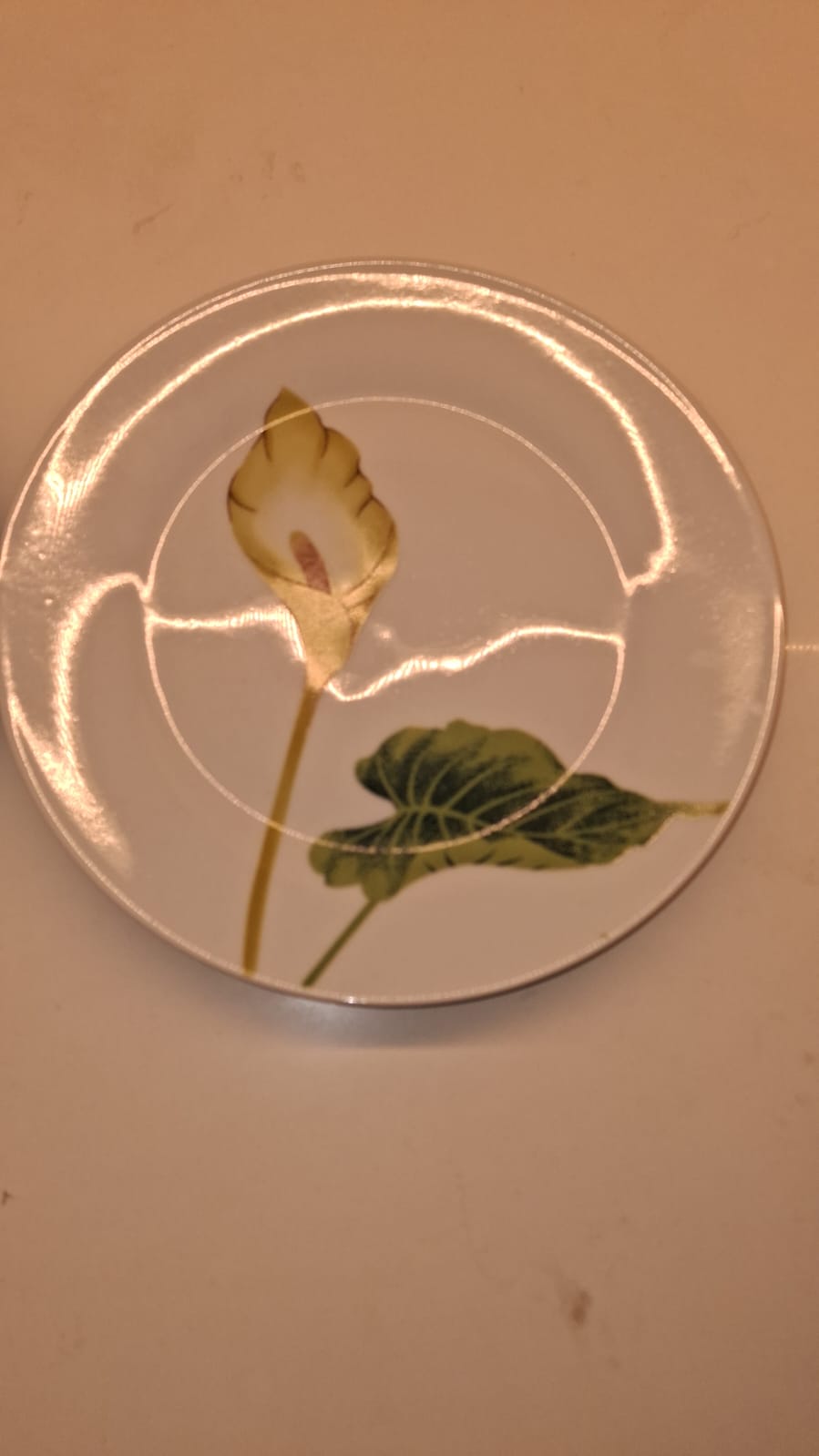 Plates Set