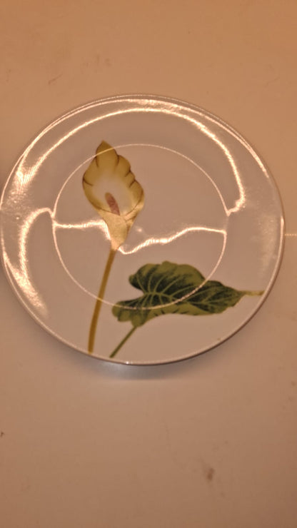 Plates Set