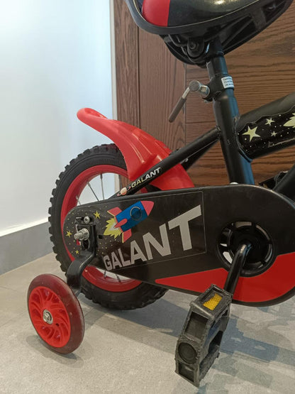 Bicycle 12 Inches