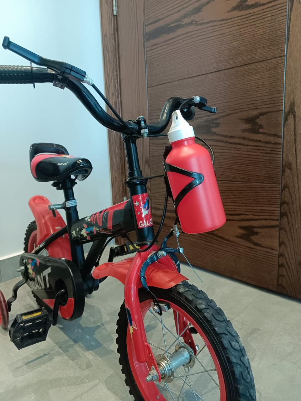 Bicycle 12 Inches