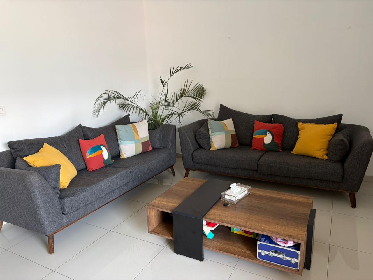Couches Set