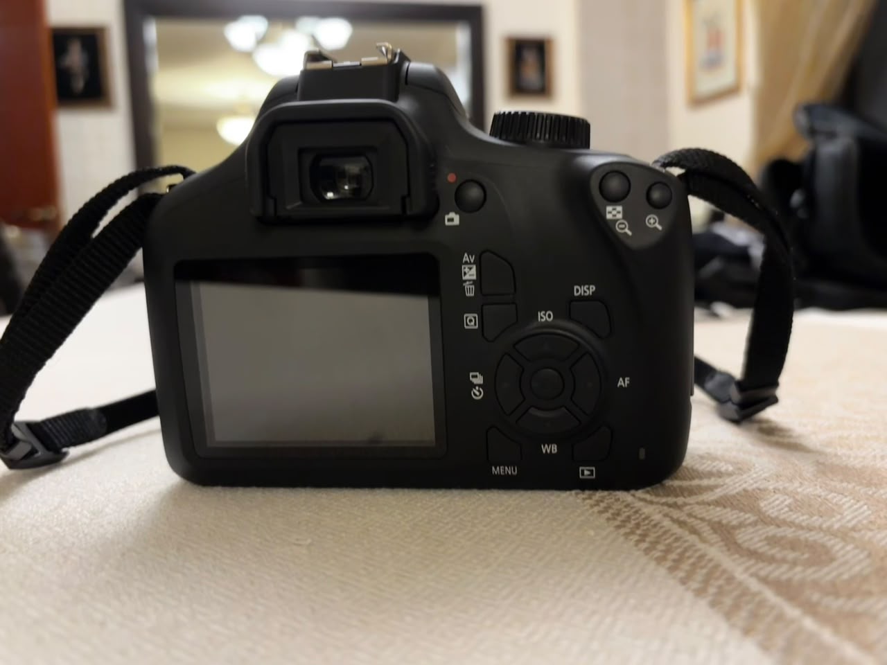 Professional Camera