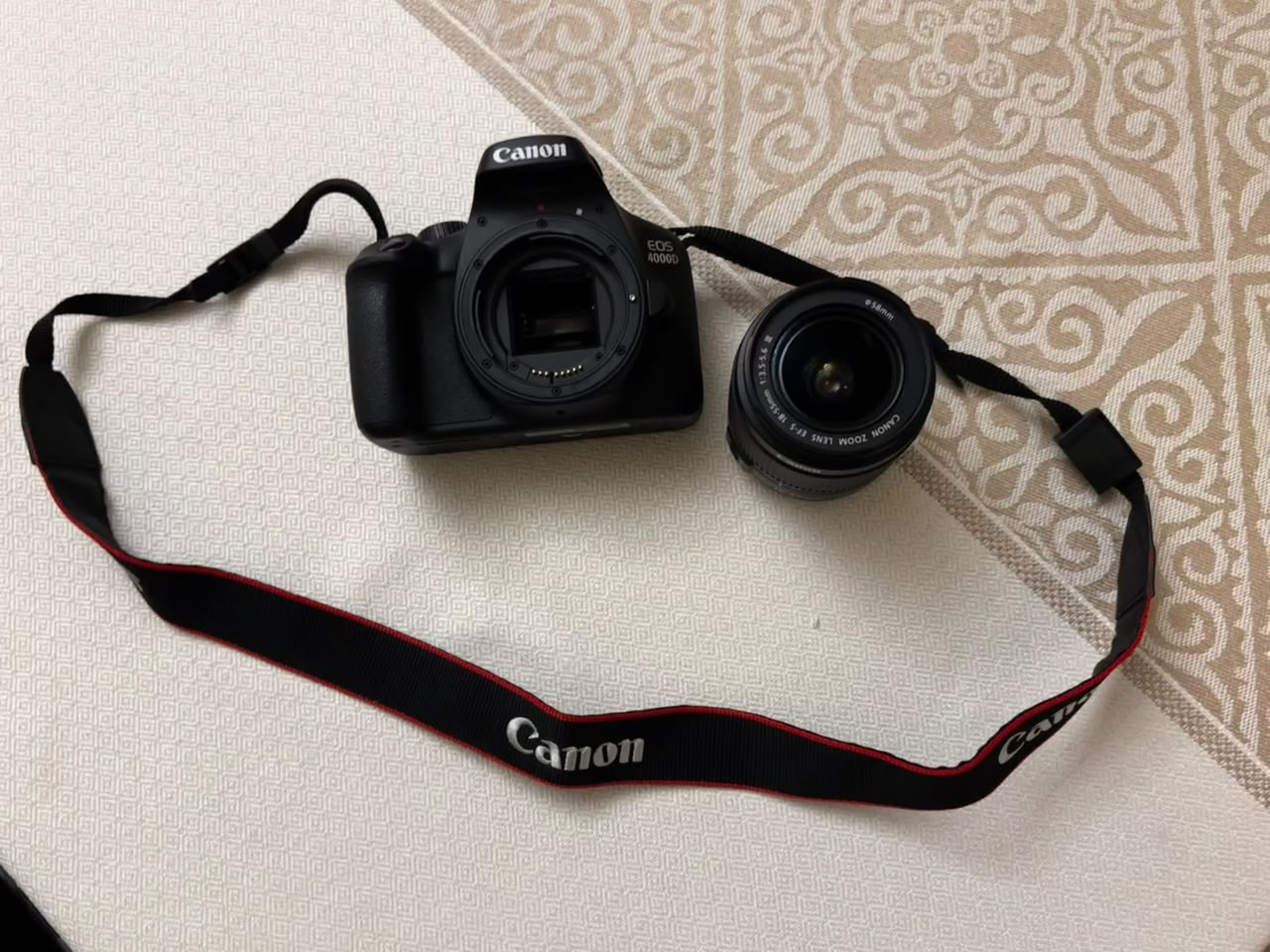 Professional Camera