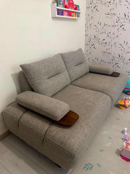 Couch - Sofa Bed